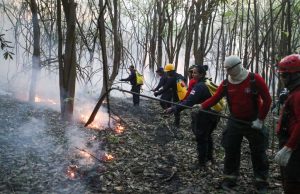 Corpo de Bombeiros monta força-tarefa para combater incêndio em área de mataMais de 40 bombeiros estão atuando em Iranduba para combater o incêndio. Corpo de Bombeiros monta força-tarefa para combater incêndio em área de mata