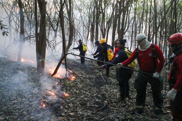 Corpo de Bombeiros monta força-tarefa para combater incêndio em área de mata