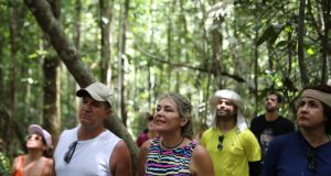 Faturamento do Turismo alcança R$ 420 milhões no Amazonas, informa Governo do EstadoDados da Amazonastur mostram alta no número de turistas no primeiro semestre em comparação com o mesmo período de 2022. Faturamento do Turismo alcança R$ 420 milhões no Amazonas, informa Governo do Estado