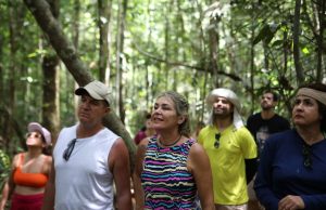 Faturamento do Turismo alcança R$ 420 milhões no Amazonas, informa Governo do EstadoDados da Amazonastur mostram alta no número de turistas no primeiro semestre em comparação com o mesmo período de 2022. Faturamento do Turismo alcança R$ 420 milhões no Amazonas, informa Governo do Estado
