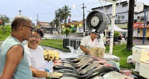 Feiras de Produtos Regionais realiza edições no final de semanaAo todo, são realizadas seis edições das Feiras de Produtos Regionais do Governo do Estado, no sábado e domingo. Feiras de Produtos Regionais realiza edições no final de semana