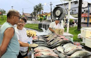 Feiras de Produtos Regionais realiza edições no final de semanaAo todo, são realizadas seis edições das Feiras de Produtos Regionais do Governo do Estado, no sábado e domingo. Feiras de Produtos Regionais realiza edições no final de semana