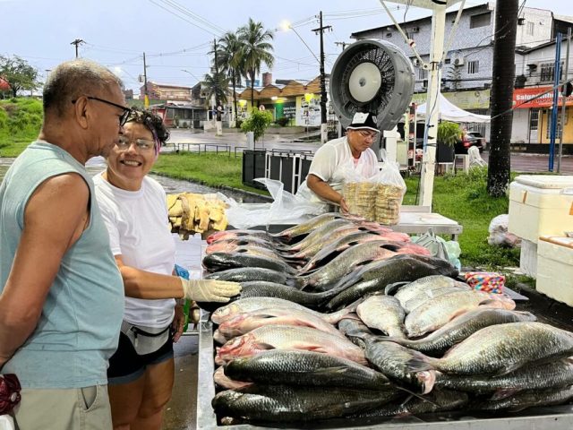 Feiras de Produtos Regionais realiza edições no final de semana