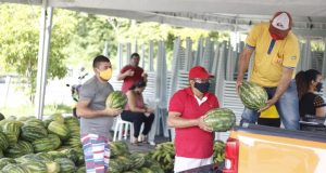 Inscrições para o edital do Programa de Aquisição de Alimentos encerram nesta sexta-feiraSerão investidos mais de R$ 8,1 milhões na compra de produtos oriundos da agricultura familiar no estado. Inscrições para o edital do Programa de Aquisição de Alimentos encerram nesta sexta-feira