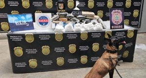 No porto de Manaus, cadela policial localiza mais de 20 quilos de entorpecentes dentro de embarcaçãoMaterial ilícito estava em caixas de papelão e sacolas plásticas. No porto de Manaus, cadela policial localiza mais de 20 quilos de entorpecentes dentro de embarcação