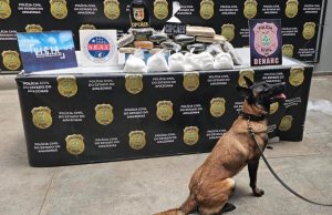 No porto de Manaus, cadela policial localiza mais de 20 quilos de entorpecentes dentro de embarcaçãoMaterial ilícito estava em caixas de papelão e sacolas plásticas. No porto de Manaus, cadela policial localiza mais de 20 quilos de entorpecentes dentro de embarcação