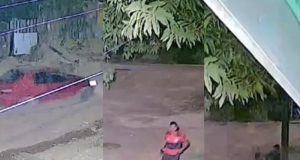 Vídeo: Suspeito atira contra uma residência e acerta bebê na cabeçaO crime aconteceu no interior do Pará. Vídeo: Suspeito atira contra uma residência e acerta bebê na cabeça