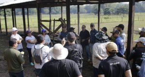 Visita à propriedades rurais com pecuária sustentável encerra Oficina de Capacitação do Plano ABC+ no AmazonasO Dia de Campo aconteceu em quatro propriedades que já desenvolvem projetos voltados para a pecuária sustentável. Visita à propriedades rurais com pecuária sustentável encerra Oficina de Capacitação do Plano ABC+ no Amazonas