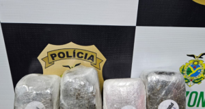 No porto do São Raimundo, Polícia Civil apreende 4 quilos de maconha do tipo skunk em lanchaDroga avaliada em R$ 20 mil é oriunda do município de São Gabriel da Cachoeira. No porto do São Raimundo, Polícia Civil apreende 4 quilos de maconha do tipo skunk em lancha