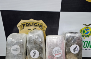 No porto do São Raimundo, Polícia Civil apreende 4 quilos de maconha do tipo skunk em lanchaDroga avaliada em R$ 20 mil é oriunda do município de São Gabriel da Cachoeira. No porto do São Raimundo, Polícia Civil apreende 4 quilos de maconha do tipo skunk em lancha