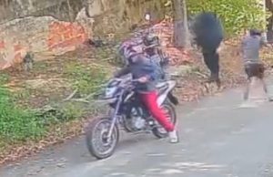 Assalto a mulher termina com vítima derrubada no chãoO crime aconteceu na tarde desta quinta-feira (19/10). Assalto a mulher termina com vítima derrubada no chão