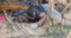 Corpo em avançado estado de decomposição é encontrado em matagalMoradores da área sentiram um forte odor. Corpo em avançado estado de decomposição é encontrado em matagal