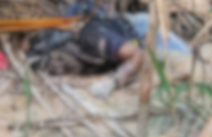 Corpo em avançado estado de decomposição é encontrado em matagalMoradores da área sentiram um forte odor. Corpo em avançado estado de decomposição é encontrado em matagal