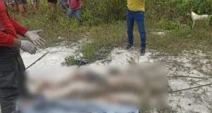 Corpo em decomposição é encontrado enterrado em ManausO cadáver foi localizado próximo a um campo de futebol. Corpo em decomposição é encontrado enterrado em Manaus