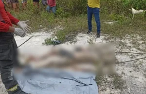 Corpo em decomposição é encontrado enterrado em ManausO cadáver foi localizado próximo a um campo de futebol. Corpo em decomposição é encontrado enterrado em Manaus