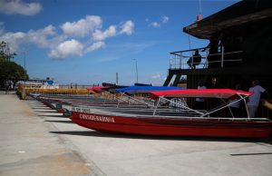 Crédito rural no Amazonas bate recorde nos primeiros nove meses de 2023 O resultado foi alcançado por meio de 1.597 projetos de crédito rural. Crédito rural no Amazonas bate recorde nos primeiros nove meses de 2023