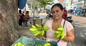 Em Manacapuru, ADS dá apoio logístico a produtores rurais Em Manacapuru, ADS dá apoio logístico a produtores rurais