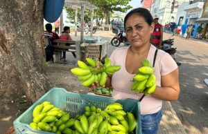 Em Manacapuru, ADS dá apoio logístico a produtores rurais Em Manacapuru, ADS dá apoio logístico a produtores rurais