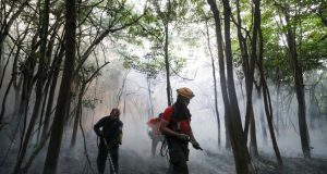 Governo do Amazonas atua desde o início do ano combatendo queimadas e desmatamento ilegaisTodas as ações do Governo do Amazonas podem ser conferidas no site paineldoclima.am.gov.br Governo do Amazonas atua desde o início do ano combatendo queimadas e desmatamento ilegais