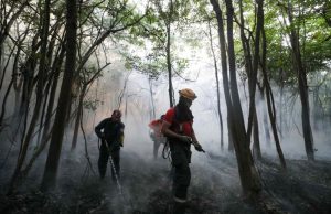 Governo do Amazonas atua desde o início do ano combatendo queimadas e desmatamento ilegaisTodas as ações do Governo do Amazonas podem ser conferidas no site paineldoclima.am.gov.br Governo do Amazonas atua desde o início do ano combatendo queimadas e desmatamento ilegais