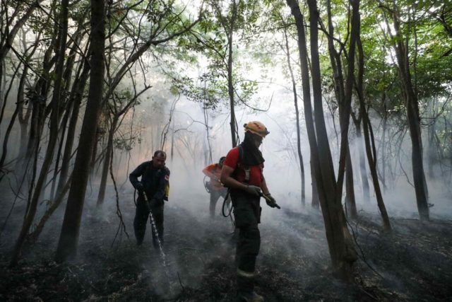 Governo do Amazonas atua desde o início do ano combatendo queimadas e desmatamento ilegais3 Governo do Amazonas atua desde o início do ano combatendo queimadas e desmatamento ilegais