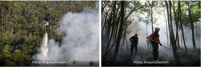 Governo do Amazonas atua desde o início do ano combatendo queimadas e desmatamento ilegais