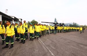 Governo do Amazonas recebe mais 94 brigadistas do Ibama para apoiar no combate às queimadasReforço de efetivo começa a chegar neste domingo (15/10), após pedido feito pelo governador Wilson Lima. Governo do Amazonas recebe mais 94 brigadistas do Ibama para apoiar no combate às queimadas