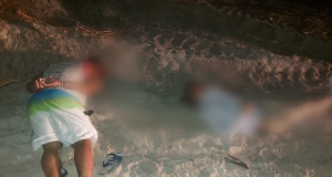 Homens são executados a tiros em área de mata de ManausAs vítimas foram levadas até o local em um carro modelo Ônix e lá foram executadas. Homens são executados a tiros em área de mata de Manaus