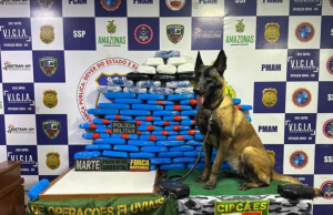 Policiais militares apreendem mais de 100 quilos de drogas em embarcação no AmazonasCadela policial Havana ajudou na localização dos entorpecentes. Policiais militares apreendem mais de 100 quilos de drogas em embarcação no Amazonas