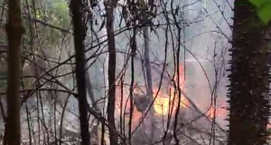 URGENTE: avião de pequeno porte com destino ao Amazonas cai no Acre e deixa 11 mortosA aeronave tinha como destino a cidade de Envira, no Amazonas. Urgente: avião de pequeno porte com destino ao Amazonas cai no Acre e deixa 11 mortos