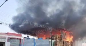 Vídeo: incêndio de grandes proporções destrói fábrica de paletes em ManausVídeo mostra momento em que fogo toma conta do local. Vídeo: incêndio de grandes proporções destrói fábrica de paletes em Manaus