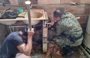 Vídeo: Jiboia é resgatada após ficar presa entre paredes em SalvadorSegundo a PM, foi necessário quebrar parte dos blocos para ter acesso ao animal. Vídeo: Jiboia é resgatada após ficar presa entre paredes em Salvador