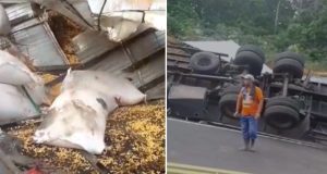 Acidente de caminhão deixa 13 feridos em ManacapuruDe acordo com o Corpo de Bombeiros, o caminhão, que transportava trabalhadores e uma carga de milho de Manaus, tombou em uma curva. Acidente de caminhão deixa 13 feridos em Manacapuru