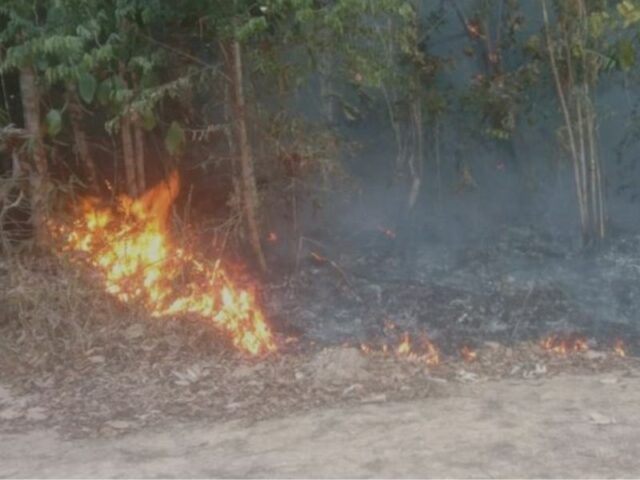 Dupla é presa em flagrante por incêndio criminoso em mata no Amazonas