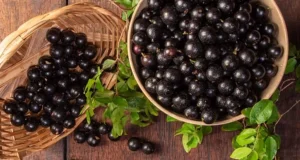 Jabuticaba é a segunda melhor fruta do mundo, segundo ranking A fruta típica do Brasil, ficou em segundo lugar, com uma nota de 4,7. Jabuticaba é a segunda melhor fruta do mundo, segundo ranking