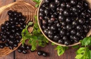 Jabuticaba é a segunda melhor fruta do mundo, segundo ranking A fruta típica do Brasil, ficou em segundo lugar, com uma nota de 4,7. Jabuticaba é a segunda melhor fruta do mundo, segundo ranking