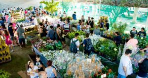 Feira de Flores de Holambra chega a Manaus com entrada gratuitaO evento, que acontecerá até o dia 19 de novembro, na Praça da Saudade. Feira de Flores de Holambra chega a Manaus com entrada gratuita