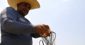 Medida provisória institui auxílio a pescadores e pescadoras profissionais artesanais de municípios do AmazonasO Auxílio Extraordinário é destinado a pescadores e pescadoras profissionais artesanais beneficiários do Seguro-Desemprego do Pescador Artesanal – Seguro Defeso. Medida provisória institui auxílio a pescadores e pescadoras profissionais artesanais de municípios do Amazonas