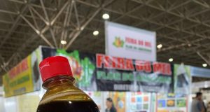 Mel do Amazonas é reconhecido como o melhor do Brasil em concurso nacionalFeira do Mel – Flor do Amazonas conquista troféu de primeiro lugar. Mel do Amazonas é reconhecido como o melhor do Brasil em concurso nacional