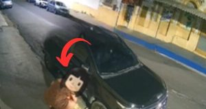 Vídeo: mulher faz “despacho” para reconquistar amado em escritório jurídico em ManausO vídeo viralizou nas redes sociais, gerando debate sobre o assunto. Vídeo: mulher faz “despacho” para reconquistar amado em escritório jurídico em Manaus