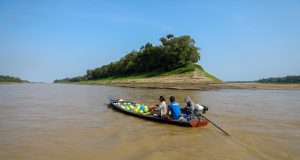 Rios do Amazonas estão em transição entre vazante e enchenteCinco calhas em processo de enchente e quatro em final de vazante. Rios do Amazonas estão em transição entre vazante e enchente
