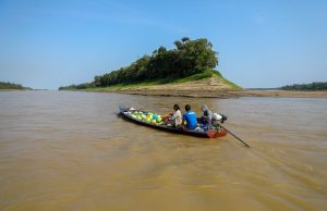 Rios do Amazonas estão em transição entre vazante e enchenteCinco calhas em processo de enchente e quatro em final de vazante. Rios do Amazonas estão em transição entre vazante e enchente