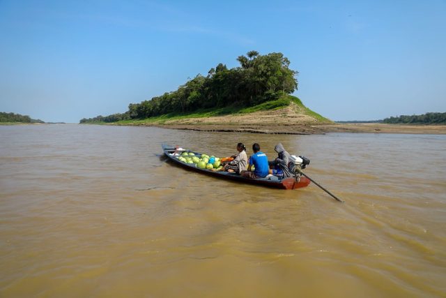 Rios do Amazonas estão em transição entre vazante e enchente