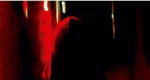 Série de suspense amazonense será exibida no Cineteatro Guarany neste sábadoObra conta a história de uma policial que tenta desvendar um assassinato em meio a perseguições sobrenaturais. A entrada é gratuita. Série de suspense amazonense será exibida no Cineteatro Guarany neste sábado