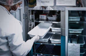 Às vésperas do fim de ano, estoque de sangue é crítico e Hemoam convoca doadoresBaixa procura de doadores acontece desde o mês de setembro; com as festas de fim ano e férias, a necessidade de sangue aumenta. Às vésperas do fim de ano, estoque de sangue é crítico e Hemoam convoca doadores