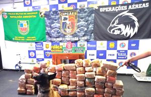 Base Fluvial Arpão: Polícia apreende 265 quilos de maconha skunk em CoariOs policiais realizaram uma revista com o auxílio da cadela policial de faro para narcotráficos Havana. Base Fluvial Arpão: Polícia apreende 265 quilos de maconha skunk em Coari