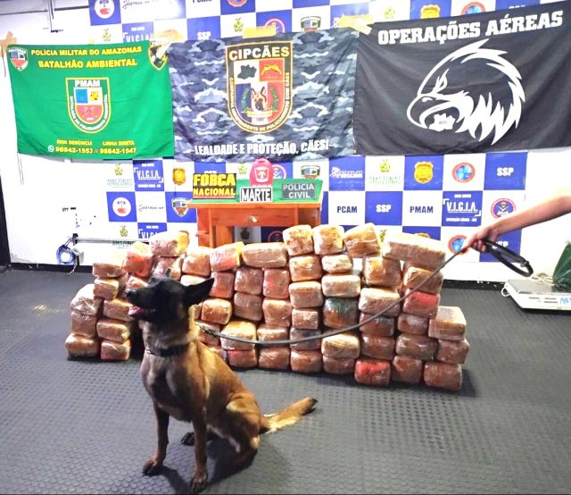 Base Fluvial Arpão: Polícia apreende 265 quilos de maconha skunk em Coari