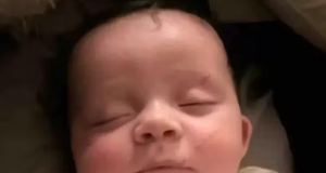 Bebê de 4 meses sobrevive a tornado e é encontrado em árvoreUma história de milagre aconteceu no Tennessee, nos Estados Unidos. Bebê de 4 meses sobrevive a tornado e é encontrado em árvore