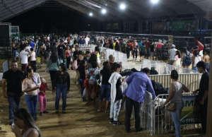 Em seis dias de evento, a 45ª Expoagro movimentou mais de R$ 192 milhões em recursos no agronegócio amazonenseO evento contou com 527 expositores e recebeu mais de 180 mil visitantes. Em seis dias de evento, a 45ª Expoagro movimentou mais de R$ 192 milhões em recursos no agronegócio amazonense