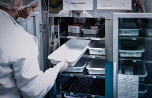 Estoque crítico no final do ano: Hemoam apela a doadores de sangue para que compareçam a unidade de coletaHemocentro espera repor as reservas de sangue e evitar desabastecimento de hospitais. Estoque crítico no final do ano: Hemoam apela a doadores de sangue para que compareçam a unidade de coleta